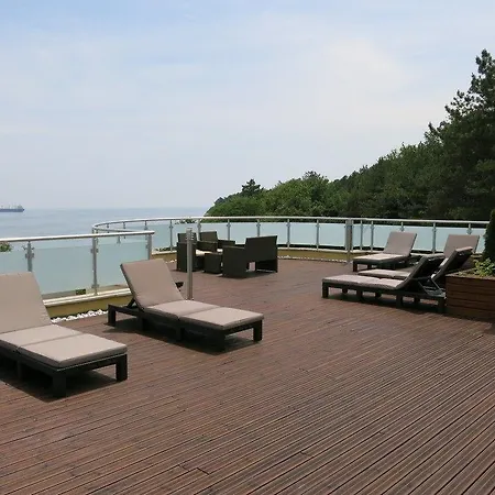 Family Albizia 3* Varna