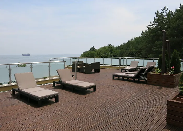 Family Albizia Βάρνα