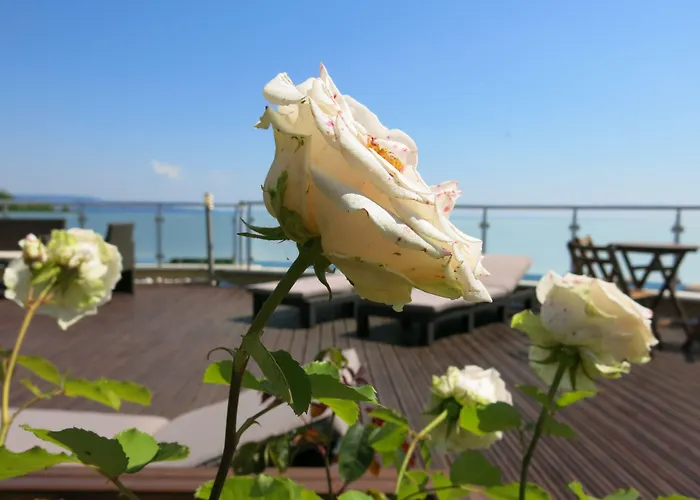 Ξενοδοχείο Family Albizia