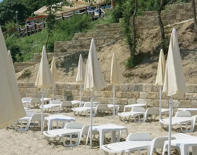 Family Albizia Βάρνα