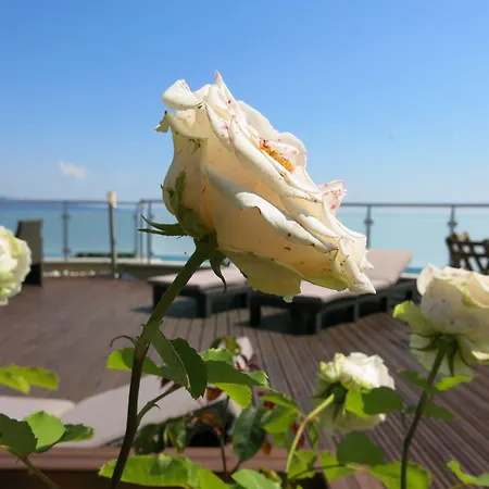 Hotel Family Albizia