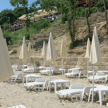 Family Albizia Várna