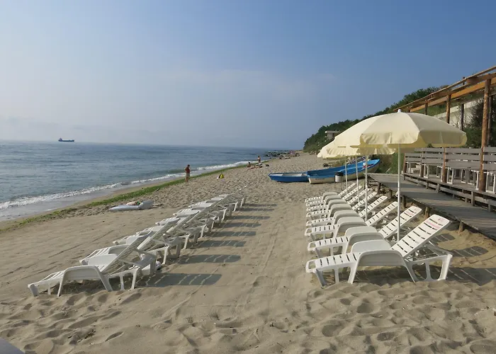 Family Albizia 3* 瓦爾納